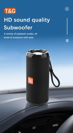 Portable Wireless Speaker TG621